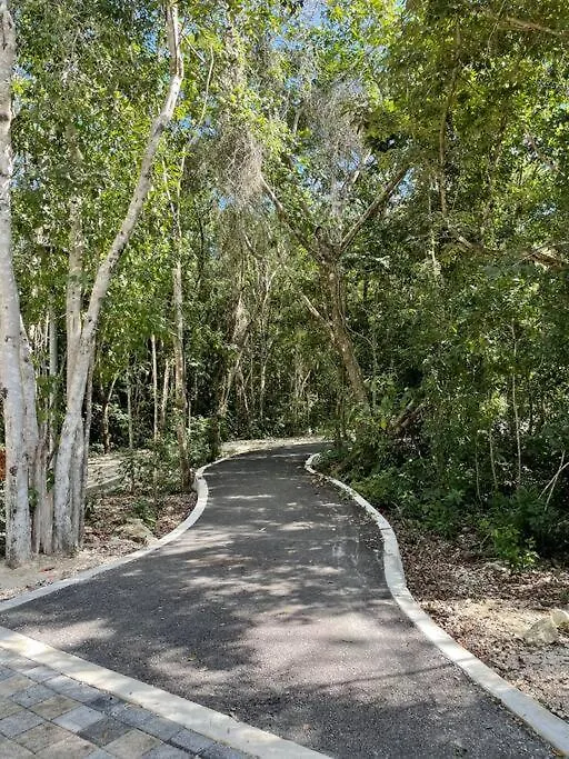 פלאייה דל כרמן Comodidad Y Tranquilidad דירה פלאייה דל כרמן